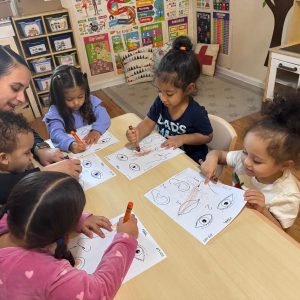 WhatsApp Image 2025-02-10 at 1.05.51 PM (1)